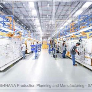 SAP Production Planning & Manufacturing